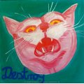y-destroy-18.jpg