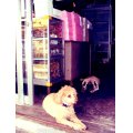SL370466-copy.jpg