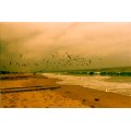 usa-4-beach-copy.jpg