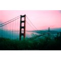 usa-4-frisco-golden-copy.jpg