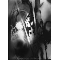 Untitled-12.jpg
