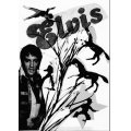 sw-el-8-copy.jpg